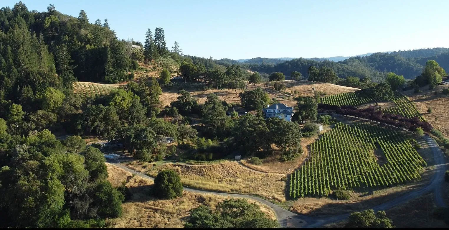 Aerial View of The Highlands Estate