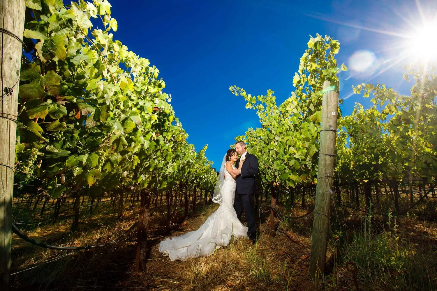 Vineyard Wedding